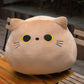 Animal Plush